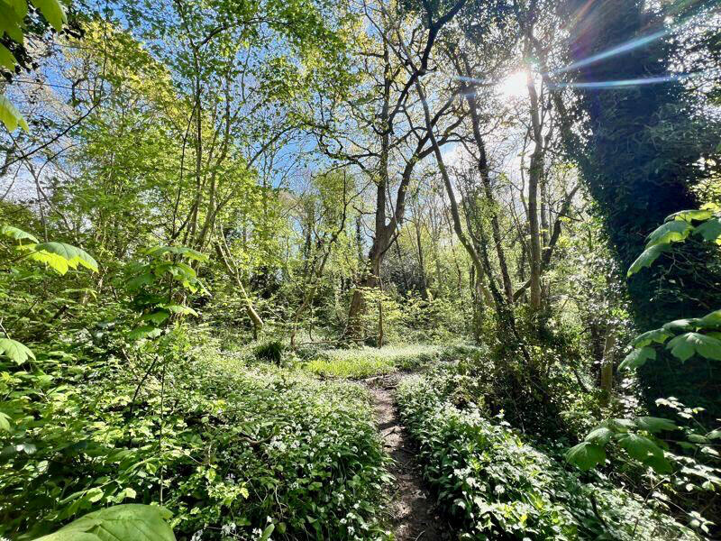 A beautful angel smiling